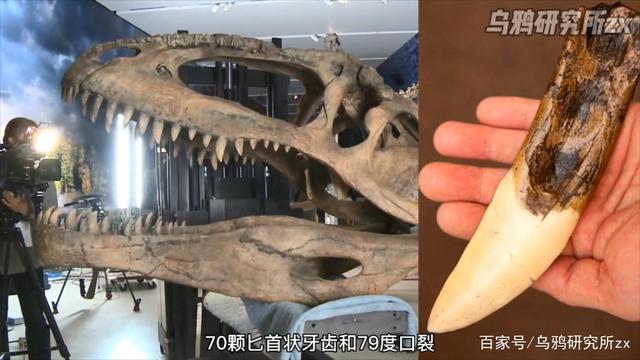 关于冠军之路：欧洲巨人与南美强队谁能称霸？的信息